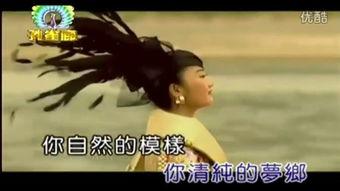 吃姨奶视频,传统家常菜的魅力与传承