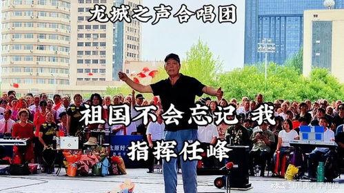 祖国不会忘记指挥视频,指挥风采与爱国情怀的视听盛宴