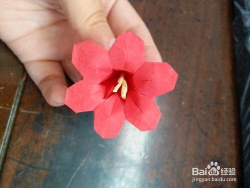 小花折纸视频,轻松掌握折纸艺术之美