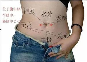 揉腹视频,健康生活新体验