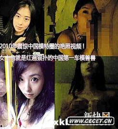 兽兽 不雅视频,揭秘娱乐圈的道德沦丧与网络暴力的阴影