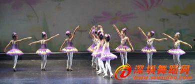 简单易学舞蹈视频大全,简单易学舞蹈视频大全精选