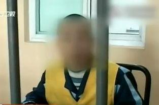 性 视频,揭秘人类性欲的奥秘与表达