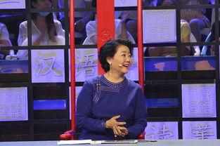 汉语大会2016视频,语言魅力绽放，传承中华智慧