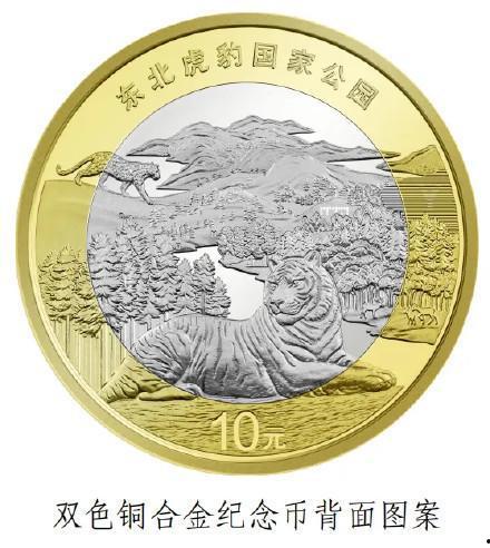 纪念币视频,纪念币背后的故事与价值